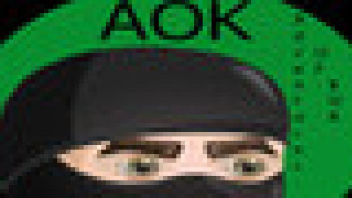 AOK Adventures Of Kok