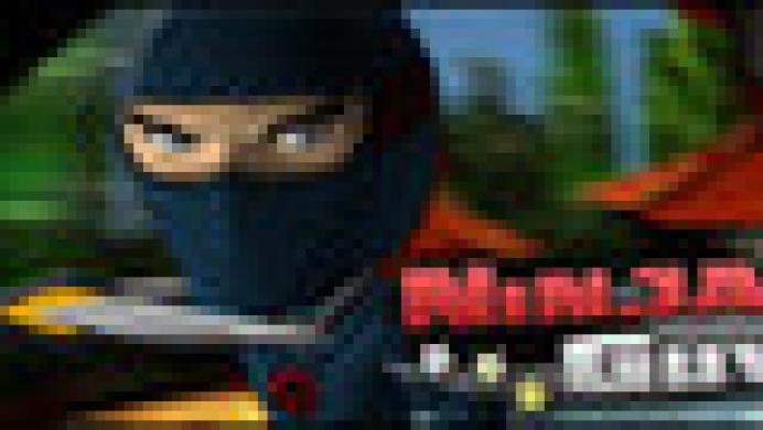 Ninja Guy