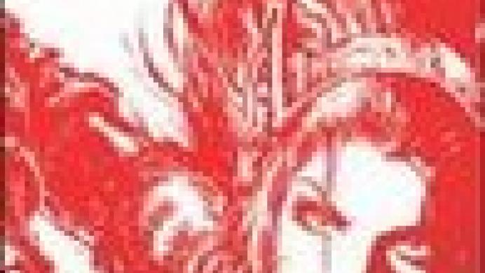 Forgotten Realms: Demon Stone