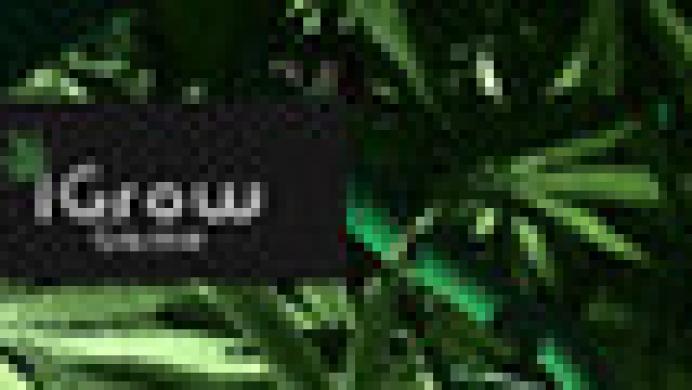 iGrow Game