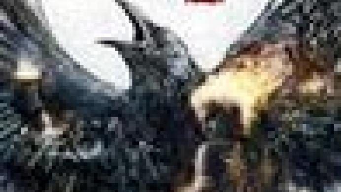 Dungeon Siege III Dungeon Siege III