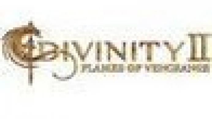 Divinity II: Flames of Vengeance