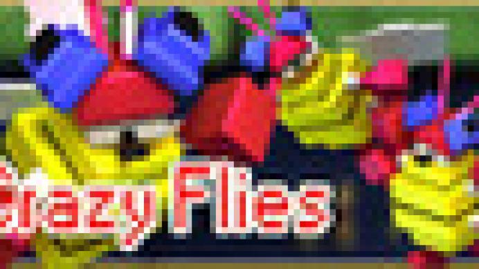 Crazy Flies