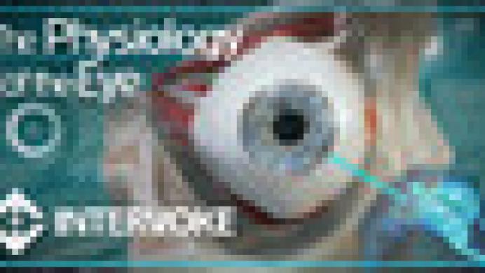 The Physiology of the Eye