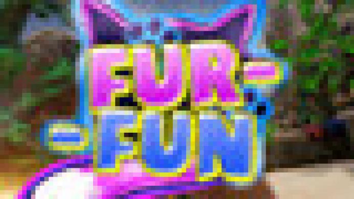 Fur Fun