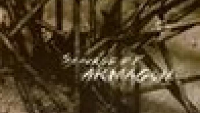 Quake Mission Pack No. 1: Scourge of Armagon