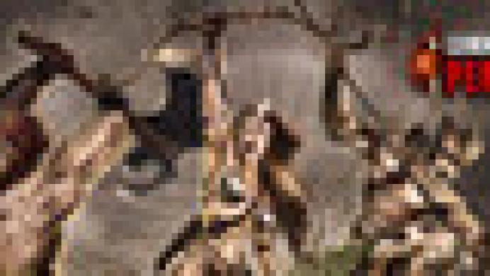 Legends of Persia