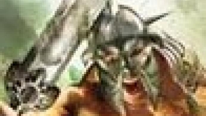 Gladiator: Sword of Vengeance