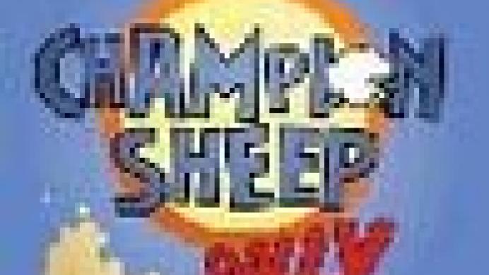 Champion Sheep Rally