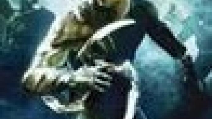 Dark Sector