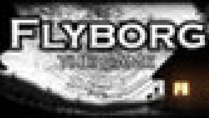 Flyborg