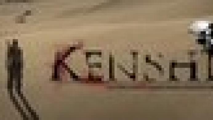 Kenshi