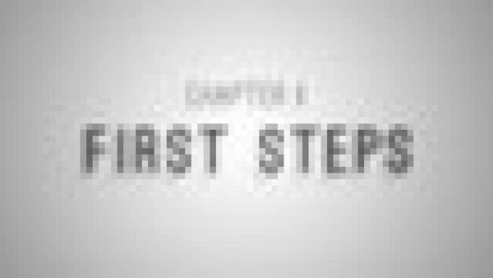 Chapter I: First steps