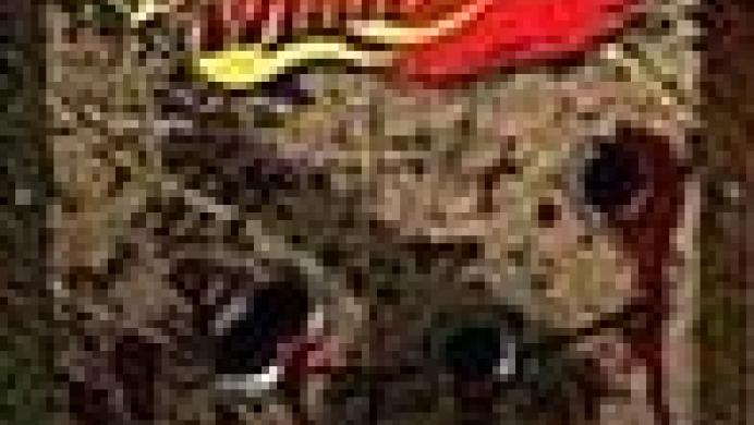 Jagged Alliance 2: Wildfire
