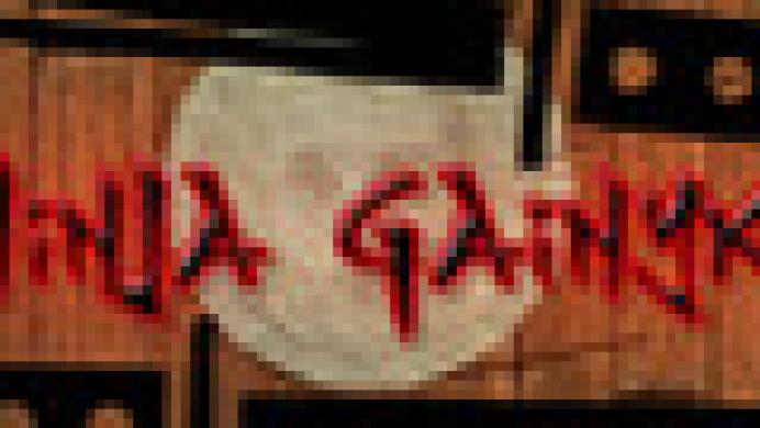 Ninja Gainyk