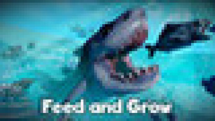 Feed and Grow: Fish