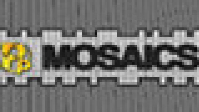 Pixel Puzzles Mosaics