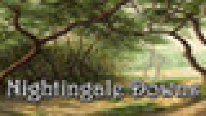 Nightingale Downs