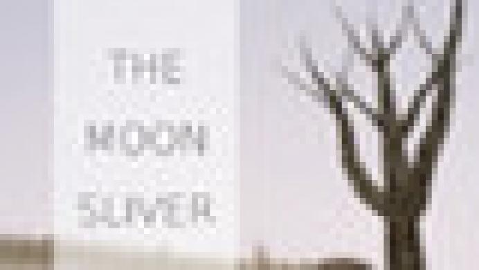 The Moon Sliver