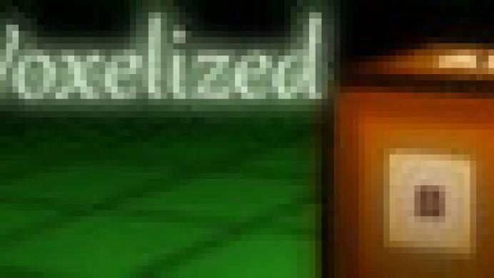 Voxelized