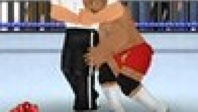 Wrestling Revolution