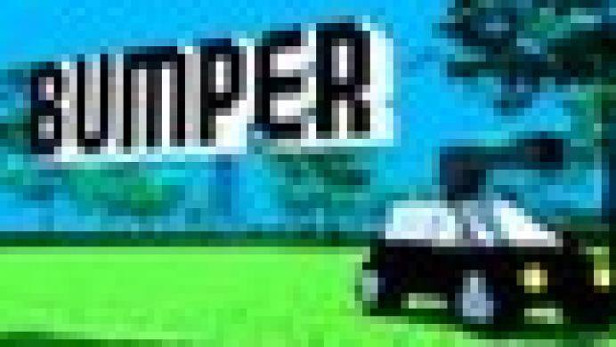 Bumper