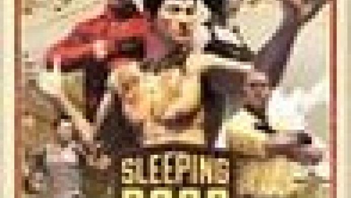 Sleeping Dogs: Zodiac Tournament Pack