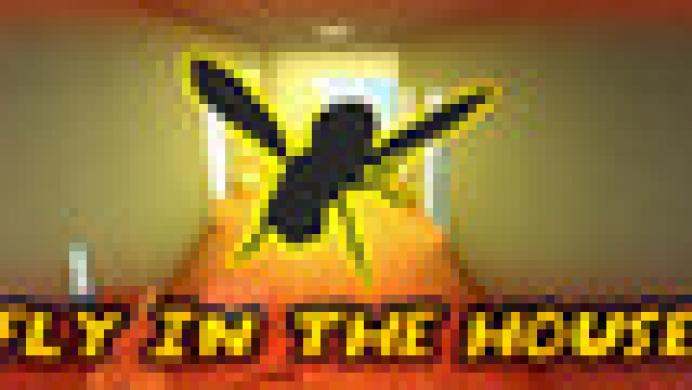 Fly in the House