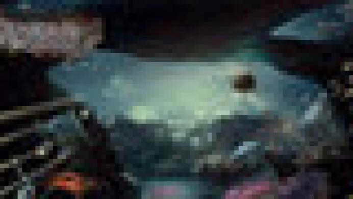 Seabed Prelude