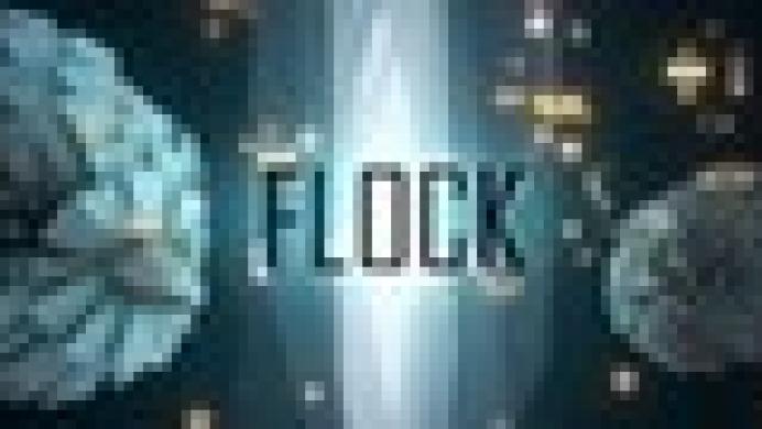 Flock VR