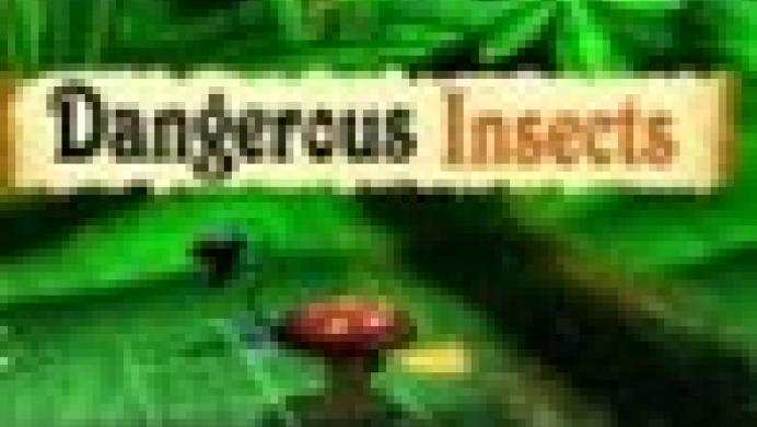 Dangerous Insects