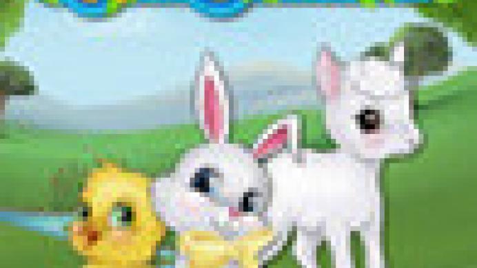 Spring Bonus