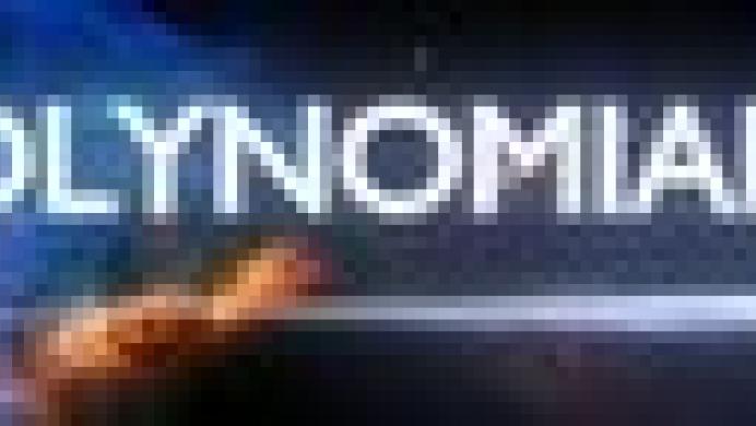 Polynomial 2