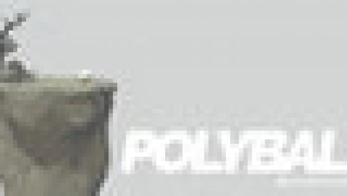 Polyball