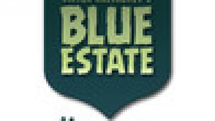 Blue Estate Prologue
