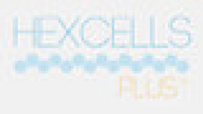 Hexcells Plus