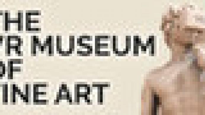 The VR Museum of Fine Art