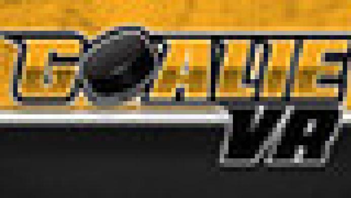 Goalie VR