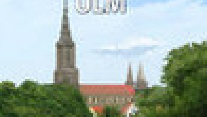 Cities in Motion: Ulm