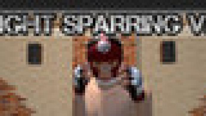 Fight Sparring VR