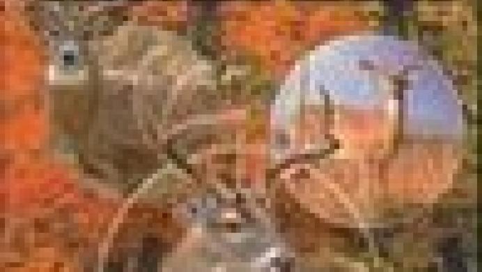 Remington Big Buck Trophy Hunt