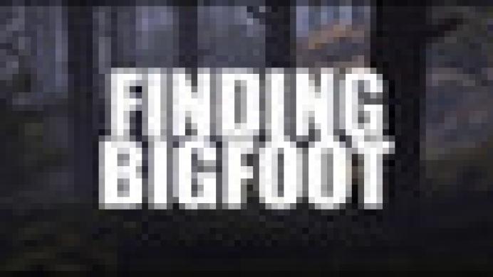 BIGFOOT