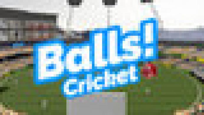 Balls! Virtual Reality Cricket