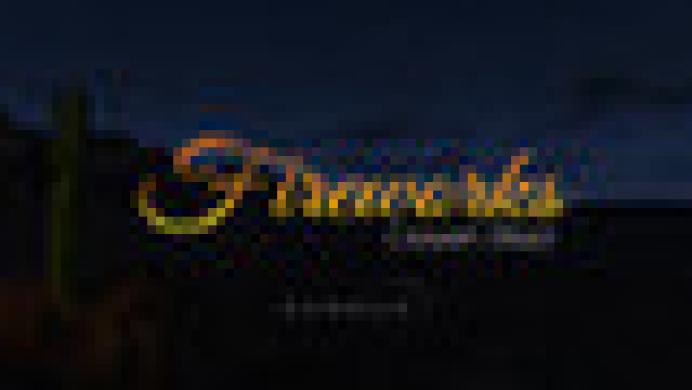 Fireworks Desert Blast