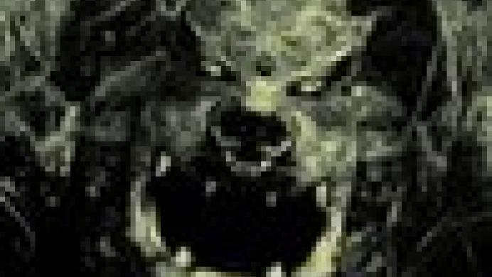 Dark Shadows - Army of Evil