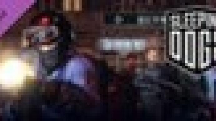 Sleeping Dogs: Swat Pack