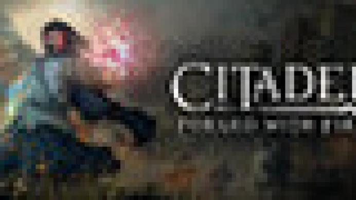 Citadel: Forged with Fire