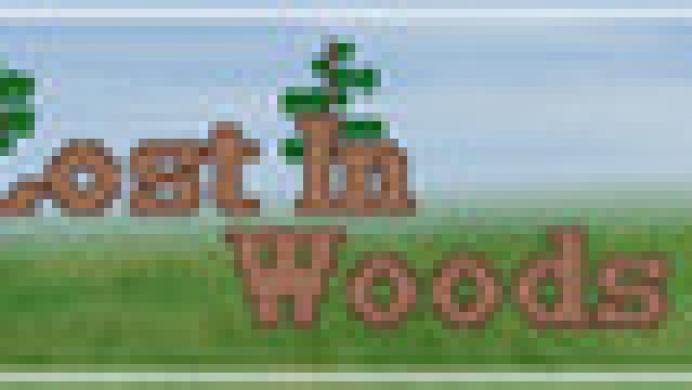 Lost In Woods 2
