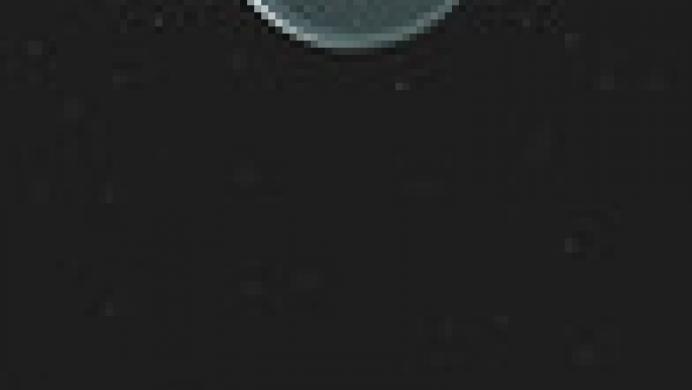 Infested Planet
