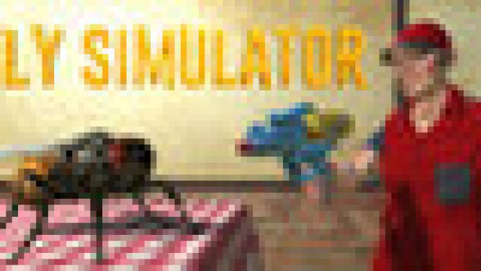 Fly Simulator